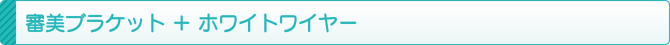 審美ブラケット + ホワイトワイヤー 審美ブラケット + ホワイトワイヤー